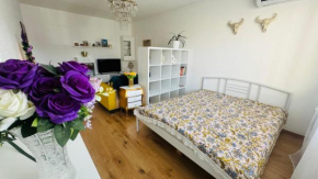 1izb Rodinný komfort, všade na skok, Nitra